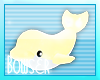 ♫ Sunshine Dolphin