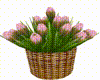 Basket Of Pink Tulips 2