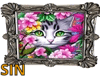 SIN Cat Frame