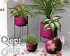 Plant Set Pink Vase