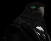 Kitsu Raven (Head)