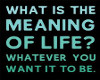meaning of life