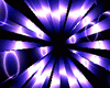Stars Light Bundle
