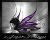 purple darkfairy wings