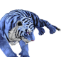 ☢ 4p Tiger Baby Blue