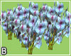 Flowers Animated