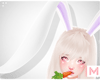 x Ears Bunny Pl