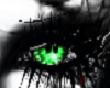 green spider eyes F