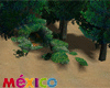 Mexico Night