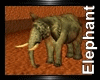 [cy] ELEPHANT ANIMATED