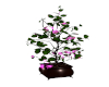 ♥KD Potted Pink tree