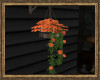 *Hanging Flowers Plant