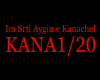 Song-Im Srti Aygin e Kan