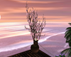 Flower tree in a pot