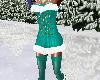 NS Green Snowflake Dress