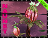 Arbol Fantasia Jardin