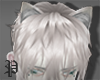 Neko white