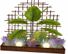 plant devider