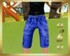 JG-Blue long shorts