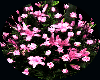 Pink Blossom Bower