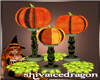 Pumpkin Stands