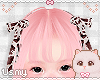 ౨ৎ Cow KID Bows