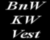 [M] BnW KW Vest