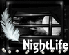 NightLife