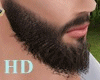 HD-Beard1