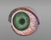 Watchful Eye Animated