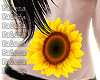 [👶] Shizute Sunflower