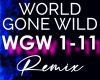 World Gone Wild_Remix