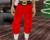 Shino Christmas Pants