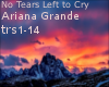 [R]No Tears Left to Cry