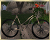 Spring Bike ~ Kiss
