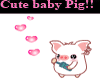 {NF} Cute Baby Pig!