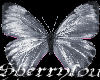 Butterflies Silver