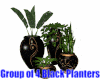 Group of 4 Black Planter