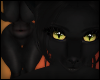 G|Black Cat Fur Chub