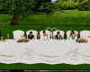 luxury  Wedding table 