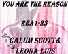 -V- You are the Reason