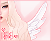 Angelic| Wings