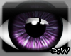 Mr. Sultry Eyes~Purple