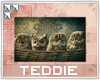 |T| Owl & Kitties