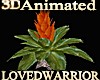 Animated Bromeliad
