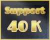 40000 support