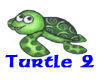 Baby Turtle 2