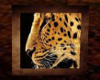 (SL) LL Leopard pic (L)