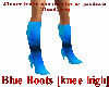 Blue Boots [knee high]