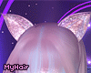 kitten kawaii 2.0+